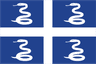 homeLogo
